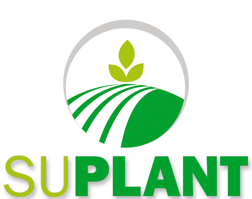 Suplant